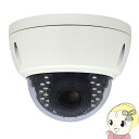 【7/18限定 ダイヤモンド会員ならエントリーで当店全品最大P8倍】キャロットシステムズ Alter+ SD 録画機能搭載 防犯カメラ ASD-03【KK9N0...