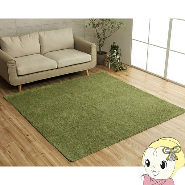 【お買い物マラソン中はエントリーで当店全品最大P7倍】ラグ 長方形 ミックスパイル 洗える イケヒコ 滑りにくい加工 オーバーロック グリーン IKE-3985479【/srm】