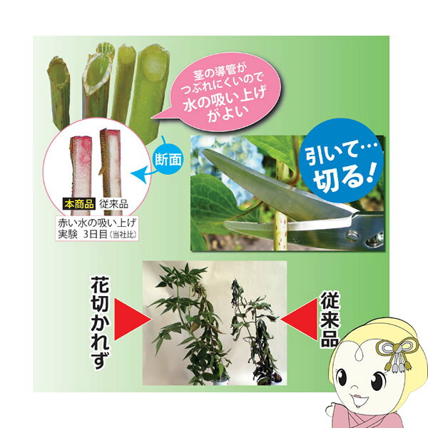 兼松工業　花切専用ハサミ　「花切かれず」　808338