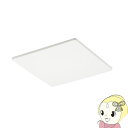 【5/18はダイヤモンド会員限定当店全品最大P8倍】東芝 日本キャリア ダクト用 換気扇 本体カバー フラットパネル ムーンホワイト DV-X10B