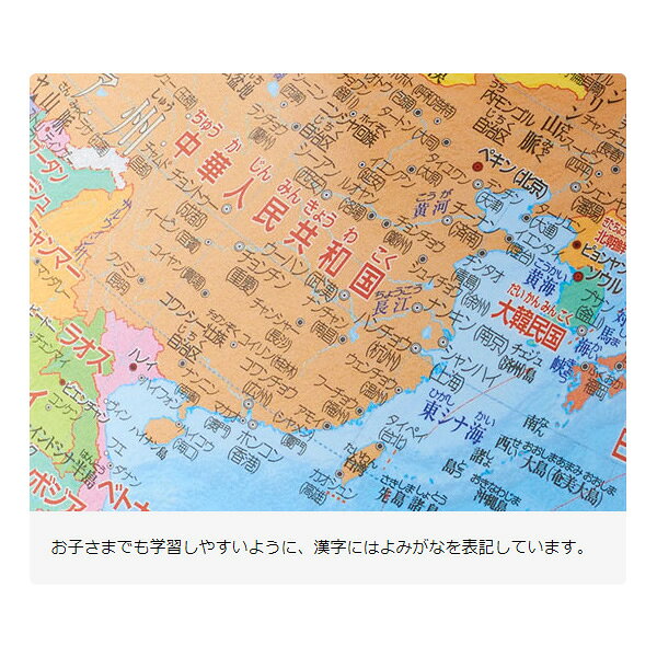 レイメイ藤井 行政タイプ地球儀（組立て式） OYV24【/srm】