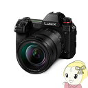 【5/1限定エントリーで当店全品最大P7倍】Panasonic パナソニック ミラーレス一眼レフカメラ LUMIX Sシリーズ DC-S1 ボディ【/srm】