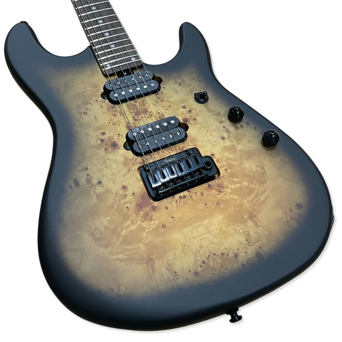 ��3/5�ϴ��ָ��ꥯ���ݥ�ȯ�ԡۡں߸ˤ����STERLING by Musicman Richardson6 Natural Poplar Burl Burst Cutlass��/srm��