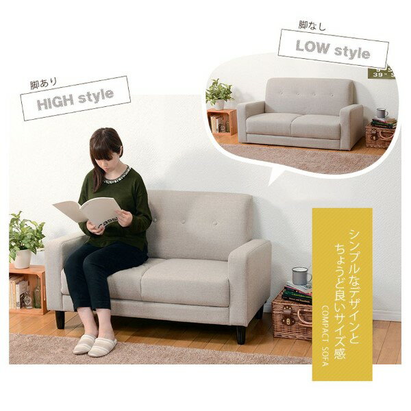 ソファ【メーカー直送】ケイディ2P ブラウン 萩原 ハギハラ【/srm】 [3]