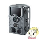 【お買い物マラソン中はエントリーで当店全品最大P7倍】セキュリティカメラ サンワサプライ CMS-SC03GY【/srm】