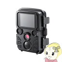 【お買い物マラソン中はエントリーで当店全品最大P7倍】セキュリティカメラ サンワサプライ CMS-SC06BK【/srm】