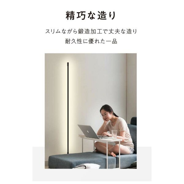 �ں߸˶Ͼ���LED�ե������� �������󥰥С��饤�� �֥�å� �ŵ�������� �ʥ��� ������� ����ƥꥢ �����ʤɤˡ�/srm��