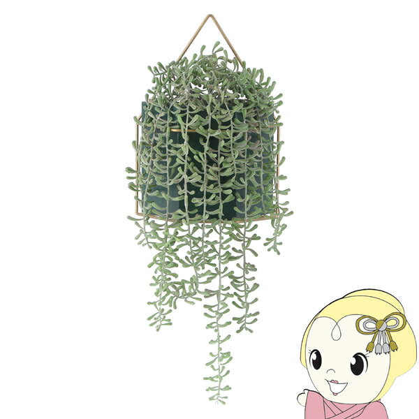 【12/1限定エントリーで当店全品最大P7倍】観葉植物 フェイクグリーン ミカヅキネックレス おしゃれ ハンギング