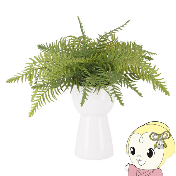 【12/1限定エントリーで当店全品最大P7倍】観葉植物 フェイクグリーン シダ おしゃれ セラミックポット