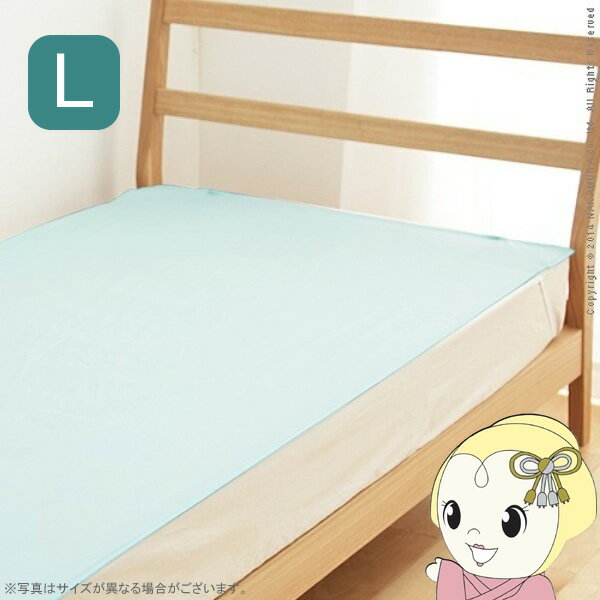 Other - 【5/25は期間限定クーポン発行】洗える防ダニシート ダニロックゼロ Lサイズ 140×190cm 防虫シート 虫除け シート【/srm】