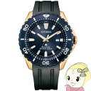 腕時計 プロマスター BN0196-01L メンズ ブラック シチズン Citizen【/srm】