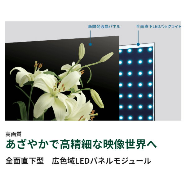 ��4/1�ϥ���ȥ꡼����Ź���ʺ���P7�ܡۡں߸ˤ���ۥ쥰�� �վ��ƥ�� 43�� ��� 43����� TVS REGZA 4K�վ��ƥ�� M550M���꡼�� ���ޡ��ȥƥ�� �쥰�����󥸥�ZR 43M550M��/srm�ۡ�KK9N0D18P��