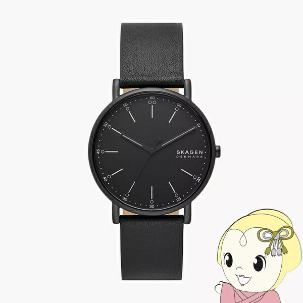 【11/25限定クーポン発行】【国内正規品】腕時計 スカーゲン SKAGEN Signatur （シグネチャー） メンズ アナログ ペアウォッチ SKW6902【/srm】