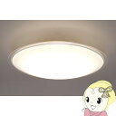 【7/18限定 ダイヤモンド会員ならエントリーで当店全品最大P8倍】LEDシーリングライト アイリスオーヤマ 8畳 調光・調色 クリアフレーム CEA8DL-50QCF【/srm】