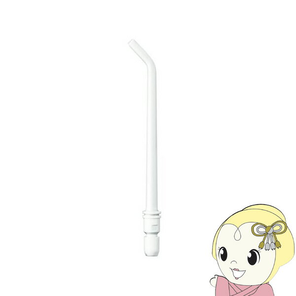 替えノズル Panasonic パナソニック ドルツ 口腔洗浄器 替ノズル 2本入 白 EW0987-W