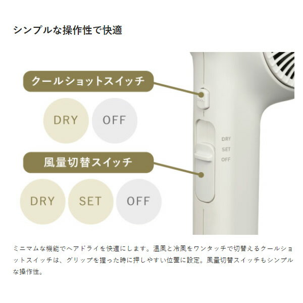 プロフェッショナル プロテクトイオンヘアードライヤー テスコム TESCOM ホワイトアッシュ NIB400A-W【/srm】