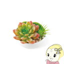 ■　キシマ　■Succulent Refrerium(サキュレントリフレリウム)コンパクトなグリーンをお部屋にプラスワン。◆　主な特長　◆置くだけ、空気をキレイにするアーティフィシャルグリーンまるで本物のように繊細に作られた人工の観葉植物。水やりなどのお世話いらずでお手軽にグリーンのある暮らしが叶います。CT触媒加工を施しているのでお部屋の空気をキレイにする、消臭・抗菌・防汚効果が期待できます。◆　主な仕様　◆■サイズ：KH-60988：105W・100D・80H■素材：KH-60988：ポリスチレン・石・陶器※写真はイメージです。簡易商品仕様ブランド名：KISHIMAメーカー型番：KH-60988原産国／製造国：-代表カラー：-シリーズ名：Succulent Refrerium本体奥行：10cm本体横幅：10.5cm本体高さ：8cmシリーズ名（カナ）：サキュレントリフレリウムブランド名（カナ）：キシマ