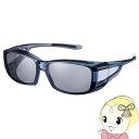 【10/1限定エントリーで当店全品最大P7倍】サングラス SWANS ...(4)