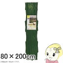 【5/1限定エントリーで当店全品最大P7倍】タカショー 木製 伸縮 トレリス グリーン 80×200cm WT-208G