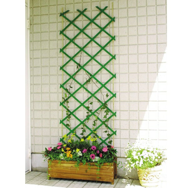 タカショー 木製 伸縮 トレリス グリーン 60×180cm WT-618G