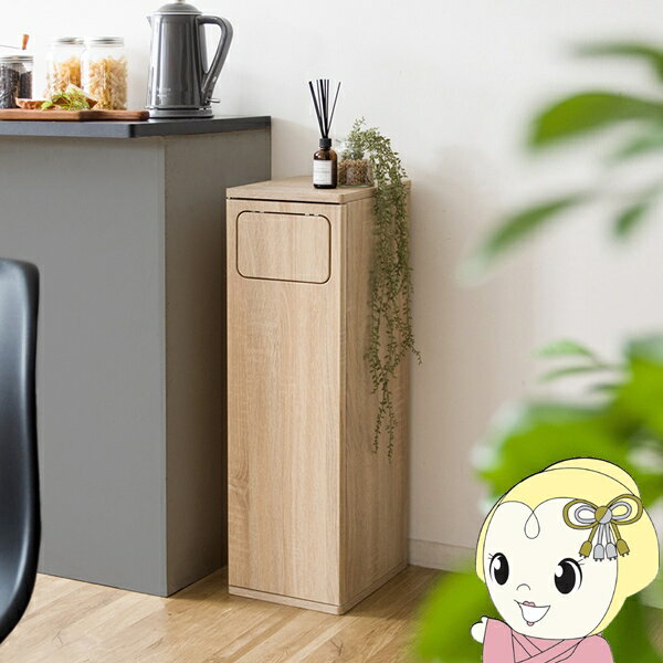 ダストボックス エンプロー スリムタイプ ニオイ漏れを防ぐプッシュ式 ごみ箱 45L DB-800 ふた付き ナ..