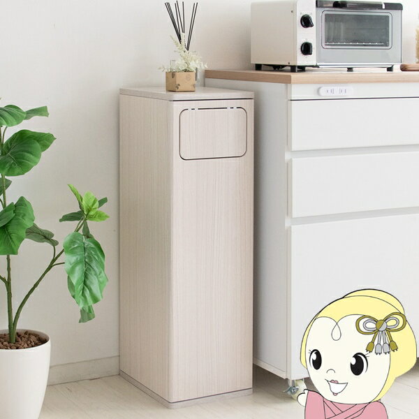 ダストボックス エンプロー スリムタイプ ニオイ漏れを防ぐプッシュ式 ごみ箱 45L DB-800 ふた付き ホ..