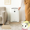 【8/25は期間限定クーポン発行】マルチスタンド Treno 幅45×奥行33×高さ3cm キャスター付き 台 平台車 台車 鉢置き台 木目調 ナチュラル