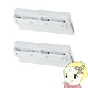 【8/10限定クーポン発行】【メーカー純正品】IZ-C75SB2 交換用プラズマクラスターイオン発生ユニット 2個入り【/srm】