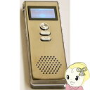 キヨラカ 250時間 ICレコーダー 「長録君」 WK-I01【/srm】
