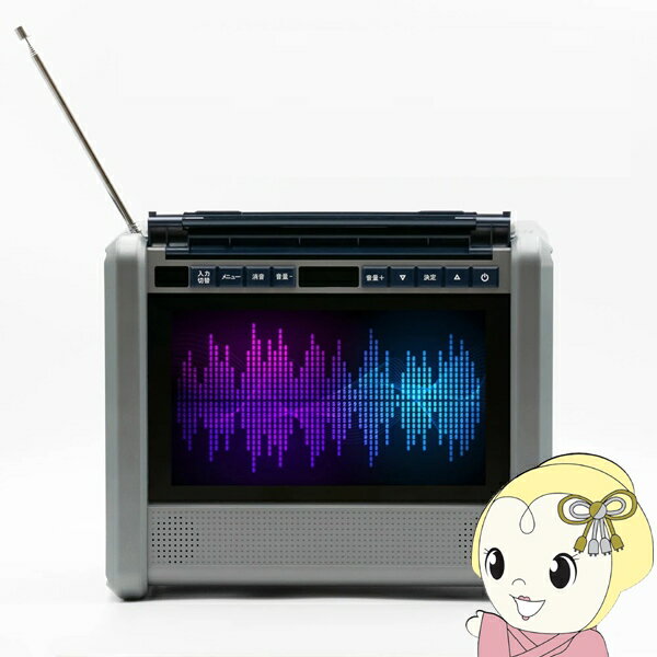 Wizz Power Station TV PSTV-600