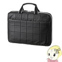 【5/25は期間限定クーポン発行】BAG-P21BK2 サンワサプライ...(2)