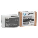 ICLGY48 EPSON Gv\  CNJ[gbW CgO[ PXV[YΉi