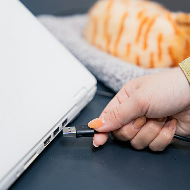 ＼特典あり／アニマルホットウォーマー QuuQuu クークー[電気カイロ かわいい 犬 猫 ぬいぐるみ USB電源 あったか 温度調節 USB 暖かい ふわふわ 冷え対策 クッションヒーター ホットウォーマー デスクワーク]