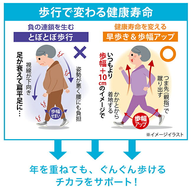＼特典あり／Activital walk アクティバイタル ウォーク　22.5～25.5cm《3足セット...