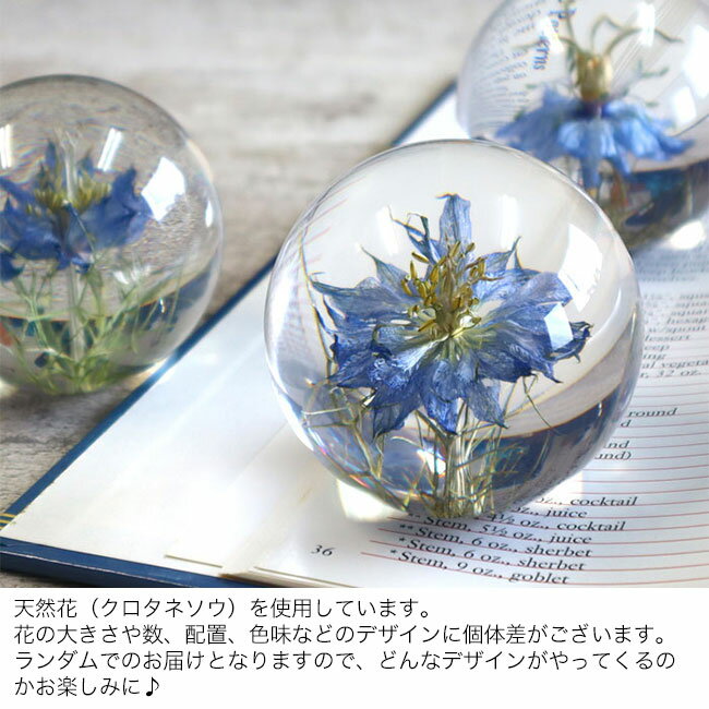 ＼レビュー特典あり/HafodGrange ハフォドグレンジ ペーパーウエイト Sサイズ クロタネソウ HG9AS[文鎮 おしゃれ かわいい ペーパーウェイト 重し 韓国インテリア 人気 花文鎮 ニゲラ 透明 置物 花 インテリア 韓国 雑貨 ドライフラワー ハンドメイド]