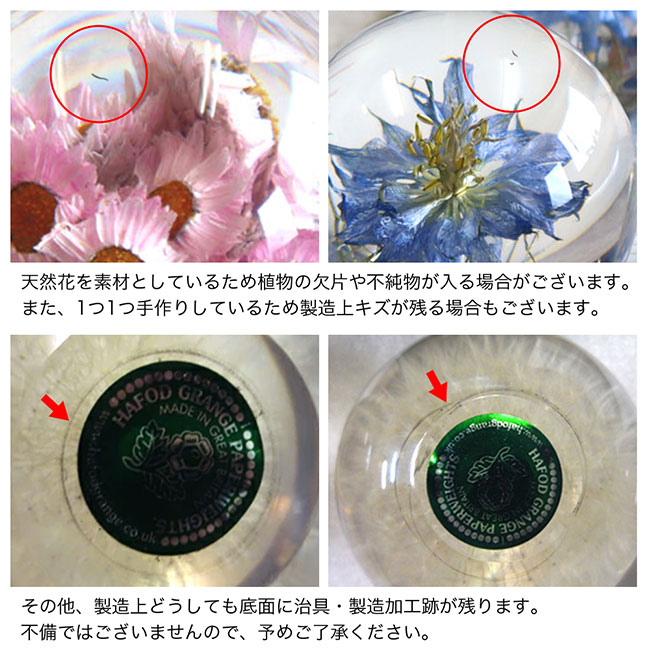 ＼レビュー特典あり/HafodGrange ハフォドグレンジ ペーパーウエイト Sサイズ クロタネソウ HG9AS[文鎮 おしゃれ かわいい ペーパーウェイト 重し 韓国インテリア 人気 花文鎮 ニゲラ 透明 置物 花 インテリア 韓国 雑貨 ドライフラワー ハンドメイド] [2]