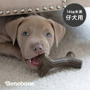 ◎ベネボーン パピー メープルスティック スモール[子犬 噛む おもちゃ 14kg 未満 犬 カミカミ 噛み癖 遊ぶ グッズ 噛むおもちゃ 仔犬 骨 玩具 犬用...