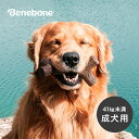 ◎ベネボーン メープルスティック ラージ[成犬 大型犬 噛む おもちゃ 犬 41kg 未満 いぬ カミカミ 噛み癖 遊ぶ グッズ 噛むおもちゃ 犬用 ペット用品...