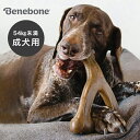 Benebone ベネボーン ウィッシュボーン ジャイアントの解説 ■アメリカで大人気の犬用フレーバー付きおもちゃ ワンちゃんの興味をそそるフレーバーが練り込まれているカミカミトイ。 着色料や人工香料を使わず、100％本物の素材とナイロンのみで作られています。 原材料・製造設備・機器に至るまでアメリカで行っています。 ■約54kg未満の成犬用 そのままカミカミしたり、くわえて運んだり、いろんな遊び方ができますし、噛み癖があるワンちゃんにも重宝します。 ■ユニークな3種類のフレーバー ベーコン、チキン、ピーナツバターのフレーバーからお選び頂けます。 消耗品なので、どのフレーバーがお気に入りになるか、いろいろ試してみてください♪ Benebone ベネボーン ウィッシュボーン ジャイアントの詳細 商品名： Benebone ベネボーン ウィッシュボーン ジャイアント 説明： 犬 54kg 未満 成犬 大型犬 超大型犬 おもちゃ いぬ カミカミ 噛み癖 遊ぶ グッズ 噛むおもちゃ 犬用 ペット用品 成犬用 噛む トイ ドッグトイ 用途・場所： ドッグラン 噛み癖 噛み 噛む 遊び 遊ぶ 喜ぶ 室内 屋内 家 部屋 リビング 一人遊び 遊び道具 ご褒美 しつけ 写真撮影 カテゴリー： 犬 いぬ イヌ ペット用品 ペット グッズ ペット用 玩具 犬用 おもちゃ 犬用おもちゃ 犬用玩具 犬用トイ 犬おもちゃ 犬のおもちゃ 犬の玩具 オモチャ 種類： 約54kg未満の成犬用 ジャーマンシェパード ボルゾイ 秋田犬 グレートピレニーズ（※犬種はあくまでも目安です。与える時は製品の対象体重を基準にしてください。） 対象： オーナー 愛犬 ギフト用途： ギフト プレゼント 贈り物 別表記： ガム 骨ガム 犬用ガムサイズ（約） W15.9×D5.7×H22.9cm 重量（約） 331g 素材 ナイロン 交換時期 製品に深いキズ、摩耗、損傷が目立つ場合は使用をやめ、新しい製品へお取替えください。 注意 ※ディスプレイの環境上、実際のカラーが再現できない場合がございます。※本製品は犬用の噛むおもちゃであり、食品ではございません。※使用時間は1回10分程度を目安として、長時間与えることは避けてください。また使用中は愛犬の安全のために目を離さないでください。※製品の対象体重を超えた犬に与えるのはお避けください。※成犬用・子犬用があるため、それぞれ誤って与えないでください。また、歯の強度が低下している可能性のある犬や高齢犬には与えないでください。※本製品は、ピーナッツ、木の実、鶏肉、豚肉、牛肉を加工する施設で作られています。風味付けの目的で、上記成分が含まれている場合があります。人間やペットが上記のアレルギーを持っている可能性のある家庭では使用しないください。 ベネボーン商品一覧はこちらから ベネボーン メープルスティック ジャイアント