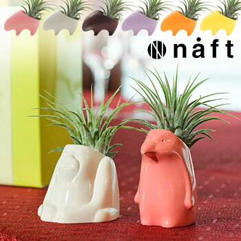 エアプランツ ＼レビュー特典あり／naft プランツベース Plan’s animal アニマル カラー[かわいい(小さい)植物が付いた動物の置物で室内に癒し ミニサイズの観葉植物(エアプランツ)は育てやすいのでプチギフトにもおすすめ]