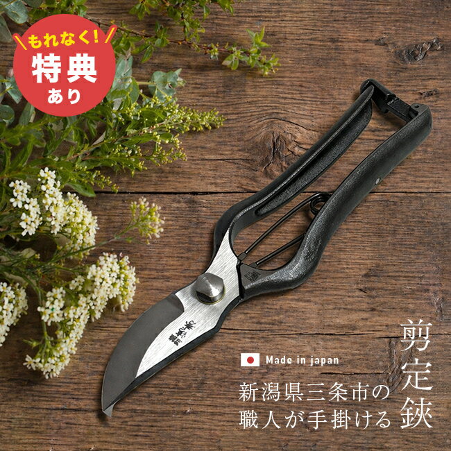 Rakuten - ＼特典あり／鍛冶屋の作った剪定鋏 清秀 金止式[剪定ばさみ 日本製 剪定ハサミ 強力 剪定鋏 剪定ハサミ庭木 金止 燕三条 園芸 ガーデニング 盆栽 手入れ 植木 剪定 ハサミ 枝切り 太枝 枝切りバサミ 枝切り鋏 枝切りハサミ] 1-2W