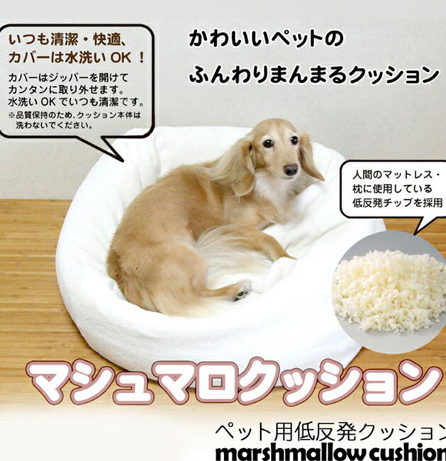 ����ŵ���꡿�ޥ���ޥ����å���� �ۥ磻��[�ڥå��� ���å���� ���ѥ٥å� ǭ�ѥ٥å� ���� ǭ�� �٥å� �ڥåȥ٥å� �դ�դ� ���С� ������ �� ǭ �ڥå� �ڥåȥ��å���� ��ȿȯ ��ȿȯ���å���� �ڥå��ѥ��å���� ������ �ڥåȥ��ե��� ���� �ͤ�] 1-2W