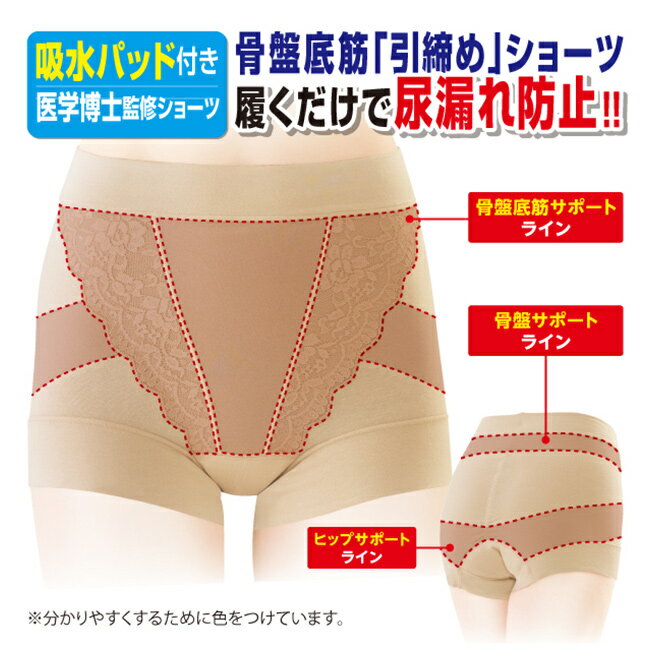 ＼特典あり／モレピタ！骨盤底筋ショーツ《3枚セット》[尿漏れ ショーツ 骨盤底筋 引き締め サポート インナー レディース 女性用 下着 骨盤 骨盤ショーツ レース ベージュ 履きやすい 楽 尿漏れパンツ 尿漏れショーツ 軽失禁 吸水 洗い替え] 2