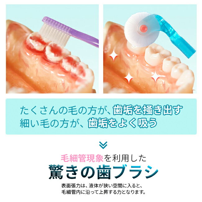 ���ץ顼����ࡼ�С� ����� �쥮��顼 �ޤ���߼���Ʊ��12�ܥ��åȡ�[��ž���֥饷 360 �� ��ž ���֥饷 �������� �� ���� ���᤭ ���ߤ��� �������� ���� �� �֥饷 �Ϥߤ��� �ϥߥ��� �ޤȤ��㤤]