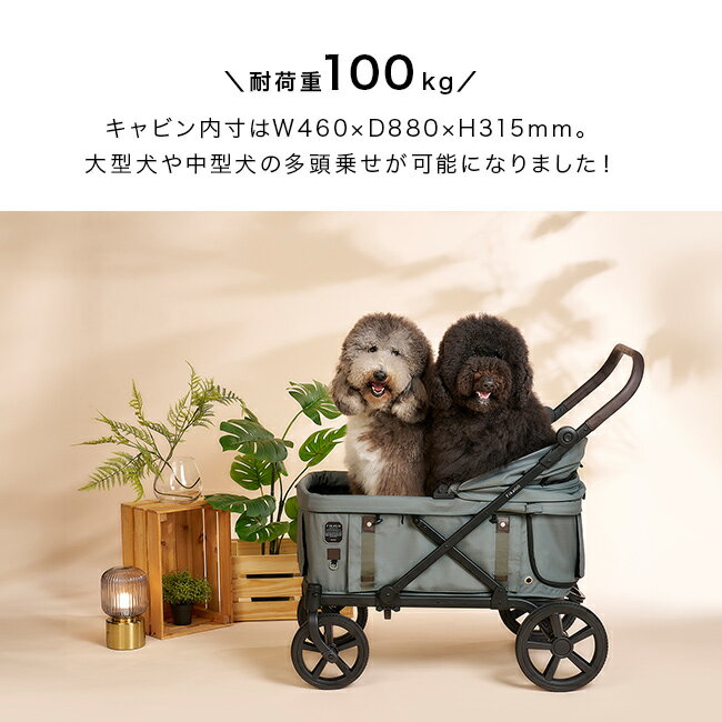 ＼特典あり/FikaGo フィカゴー クロス[...の紹介画像3