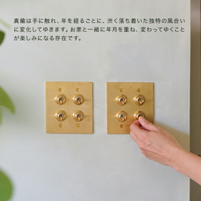 ����ŵ���꡿��﫥ץ졼�� 4�����å�[�����å��ץ졼�� ��� �����å� ���С� ������� �ץ졼�ȥ��С� �����å����С� �ŵ������å� ��﫥����å��ץ졼�� �ȥ��륹���å� ������� ����ƥ����� �̲� ����ƥꥢ]