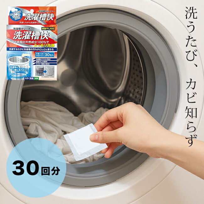 洗濯槽快 分包タイプ 30包入[洗濯槽クリーナー ドラム式 洗濯機 掃除 洗剤 洗濯槽洗剤 洗濯機洗浄 洗濯..