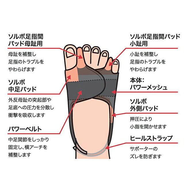 ＼特典あり／ソルボ 外反母趾 内反小趾 パワーアーチサポーター 固定型　左足用[外反母趾サポーター 内反小趾サポーター サポーター 外反母趾グッズ 足 指 親指 矯正 グッズ 日本製 子供 高齢者 シニア sorbothane 足指 健康グッズ 矯正グッズ 固定] uruza-10063725 URUZA(ウルザ) サンプル画像2