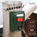 ◎ソーラー充電式 害獣駆除器[害獣駆除 害獣 ねずみ きつね テン タヌキ コウモリ 害鳥 駆除機 高周波 駆除器 温感センサー 感知 狐 たぬき 畑 田んぼ ...