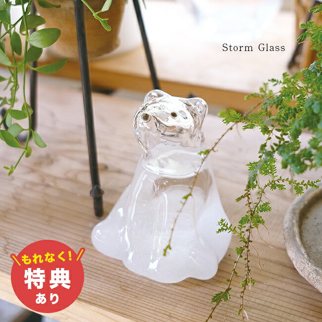 楽天市場】スノードーム シロクマの通販